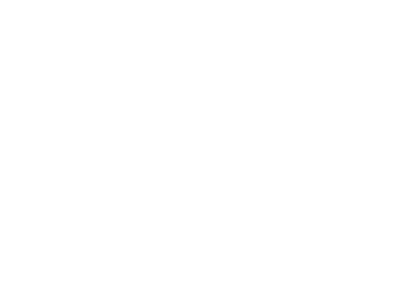 flintshire county council logo